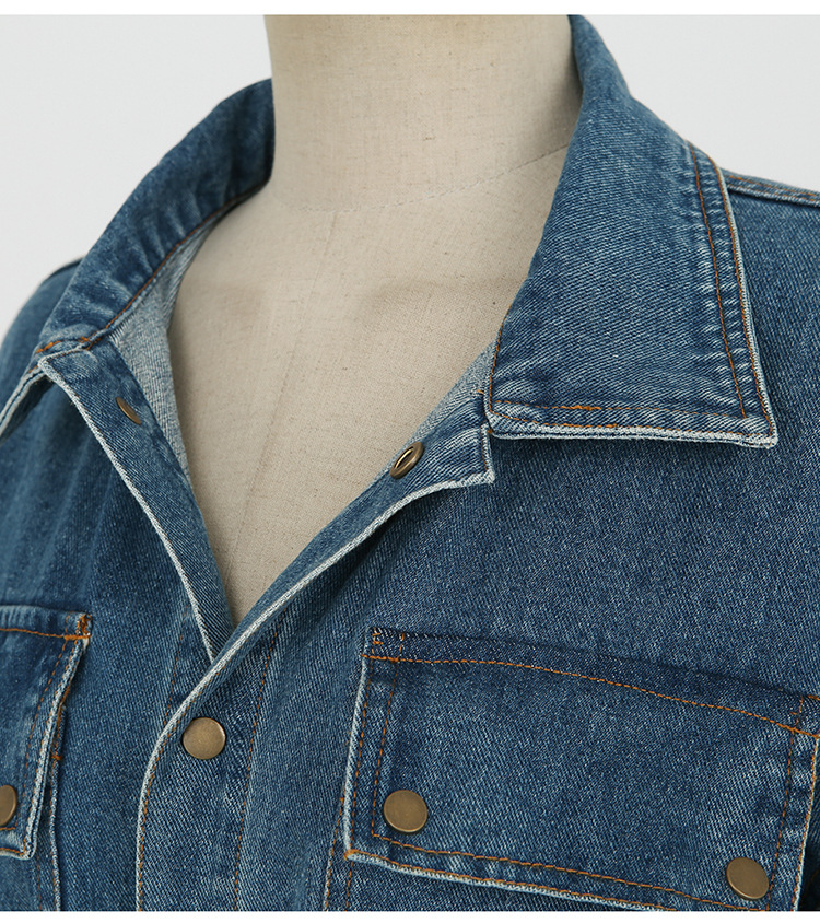 Slim denim waist single-breasted dress